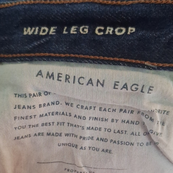 American Eagle Distressed Wide Leg Crop Button Fly - Picture 8 of 9